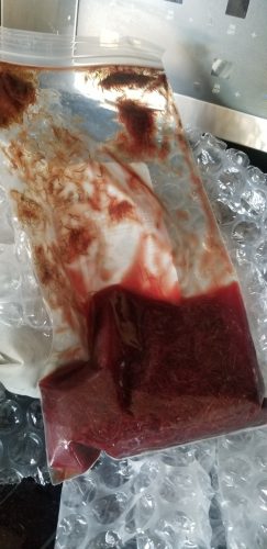 Hikari Premium Frozen Jumbo Bloodworms photo review