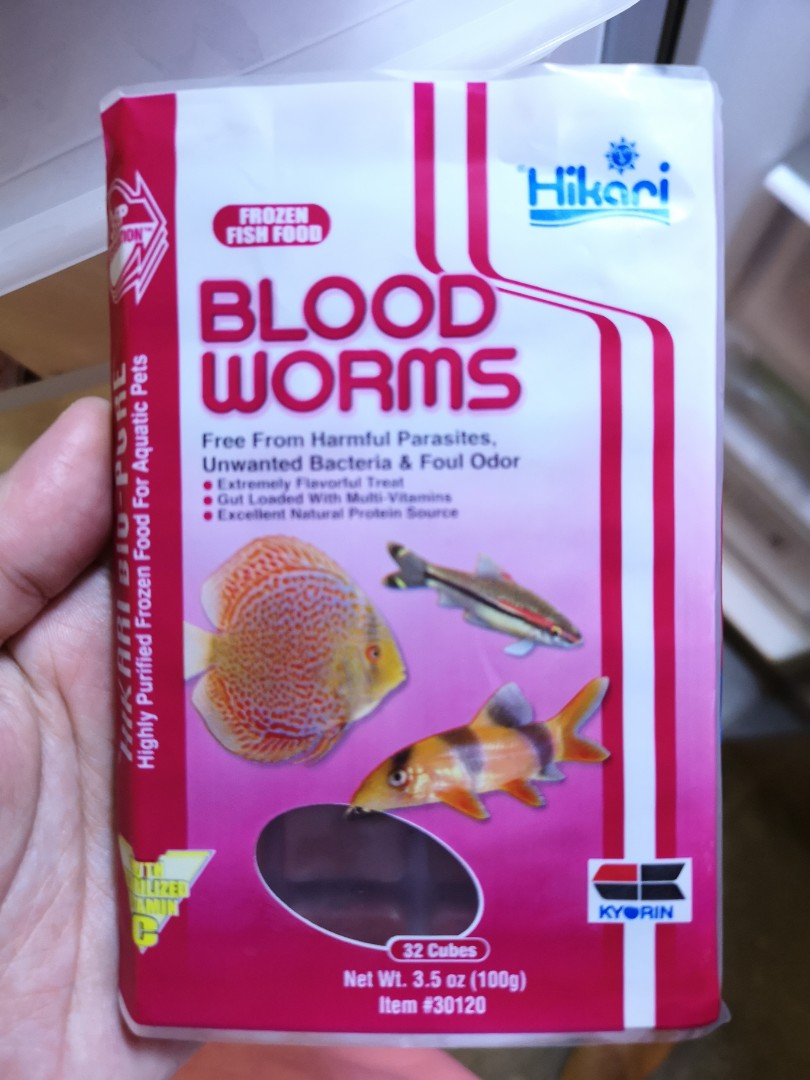 Feeding Bloodworms To Fish Discounted Clearance